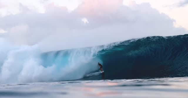 Post 6 by Ned Hart on Instagram (video)