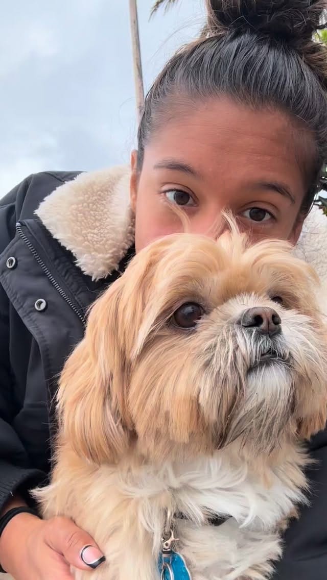 Post 7 by Elexa Bahr ☯️ on Instagram (video)