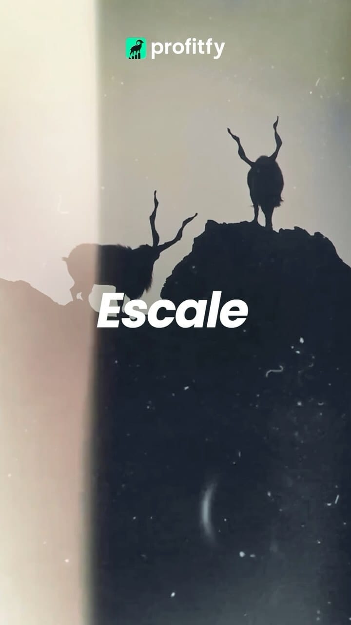 Post 2 by profitfy on Instagram (video)