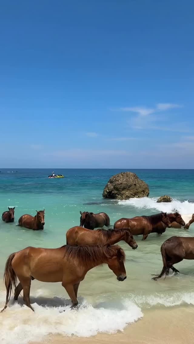 Post 2 by Vacaay™️ ✈️ on Instagram (video)