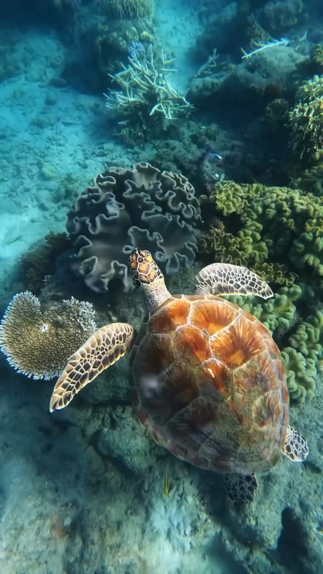 Post 6 by Vacaay™️ ✈️ on Instagram (video)