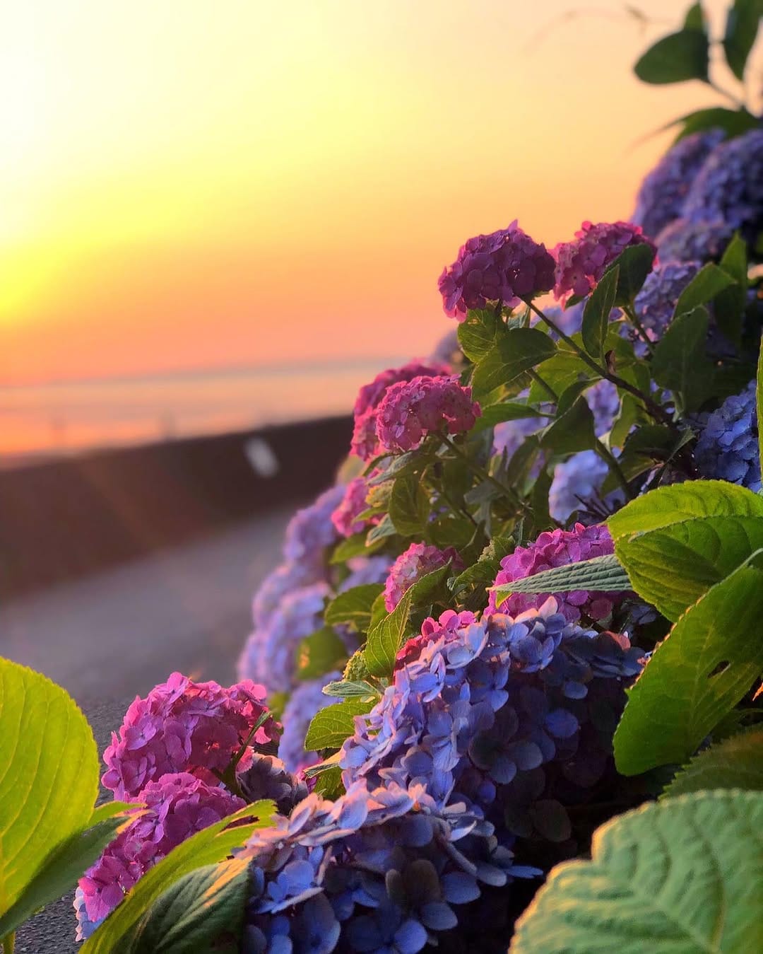 Post 10 by satomi on Instagram (image)