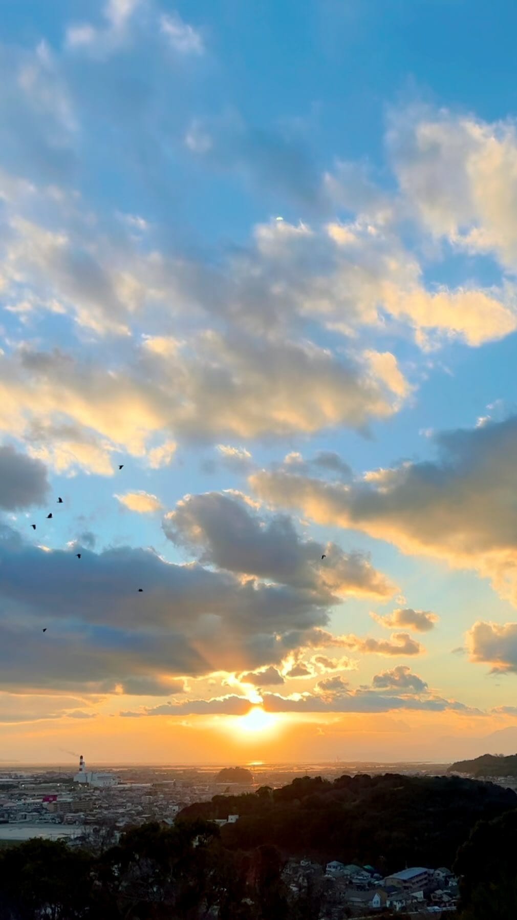 Post 4 by satomi on Instagram (video)