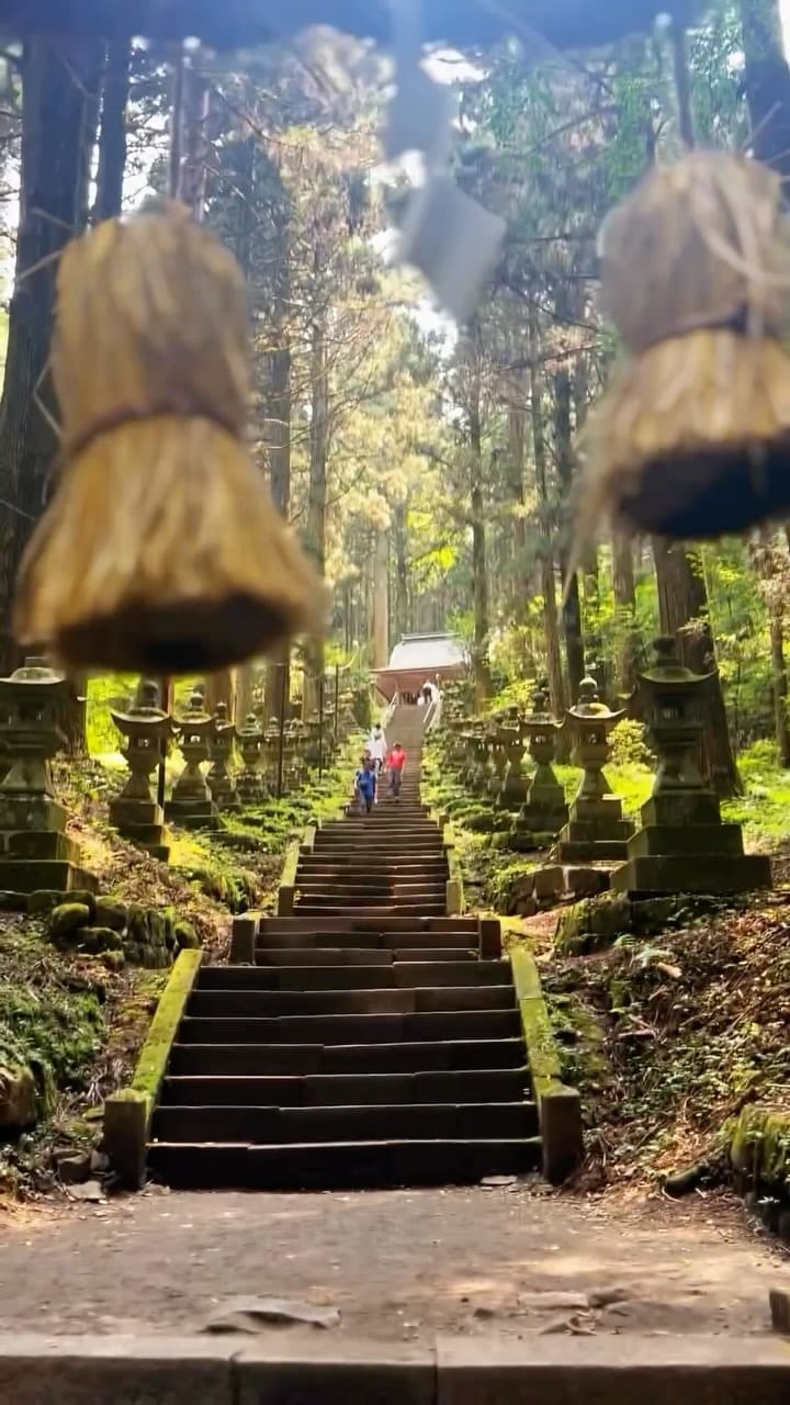Post 1 by satomi on Instagram (video)