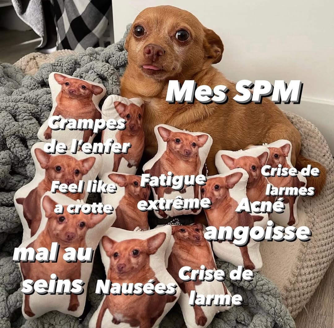 Post 4 by Syndrome prémenstruel / TDPM on Instagram (image)
