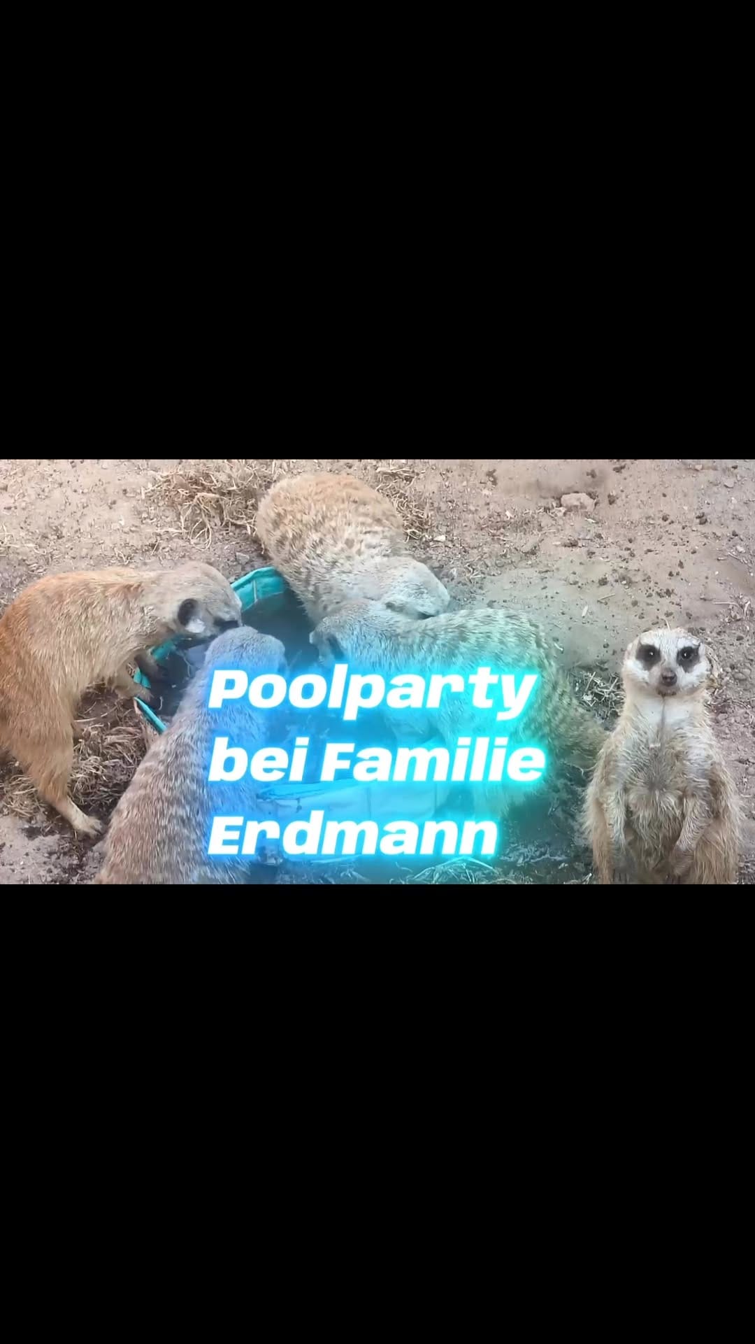 Post 3 by Jörg Gräser on Instagram (video)