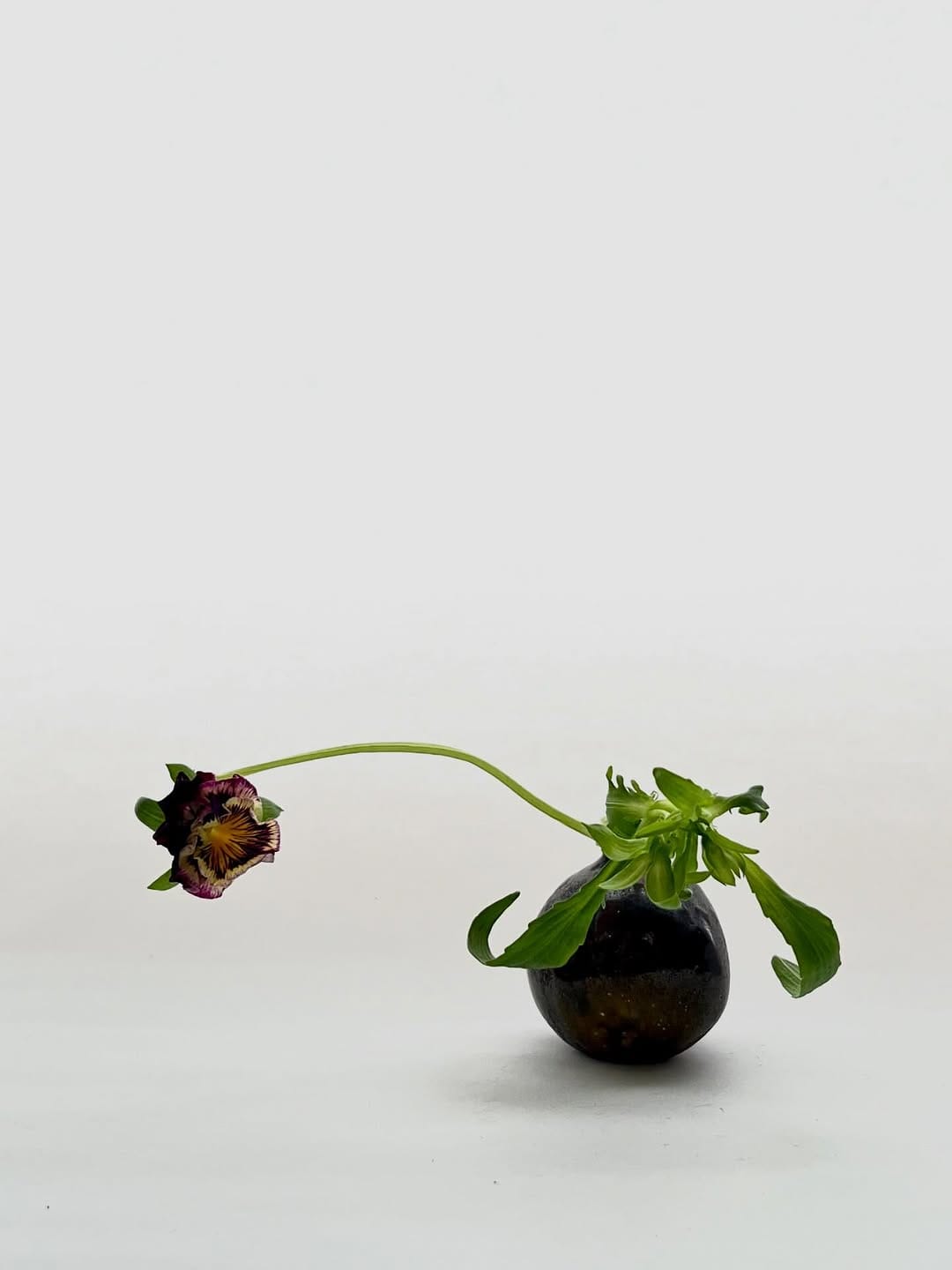 Post 6 by Takayuki Fukazawa on Instagram (image)