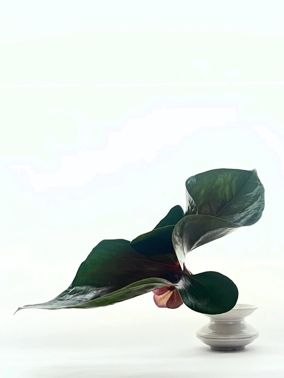 Post 5 by Takayuki Fukazawa on Instagram (image)