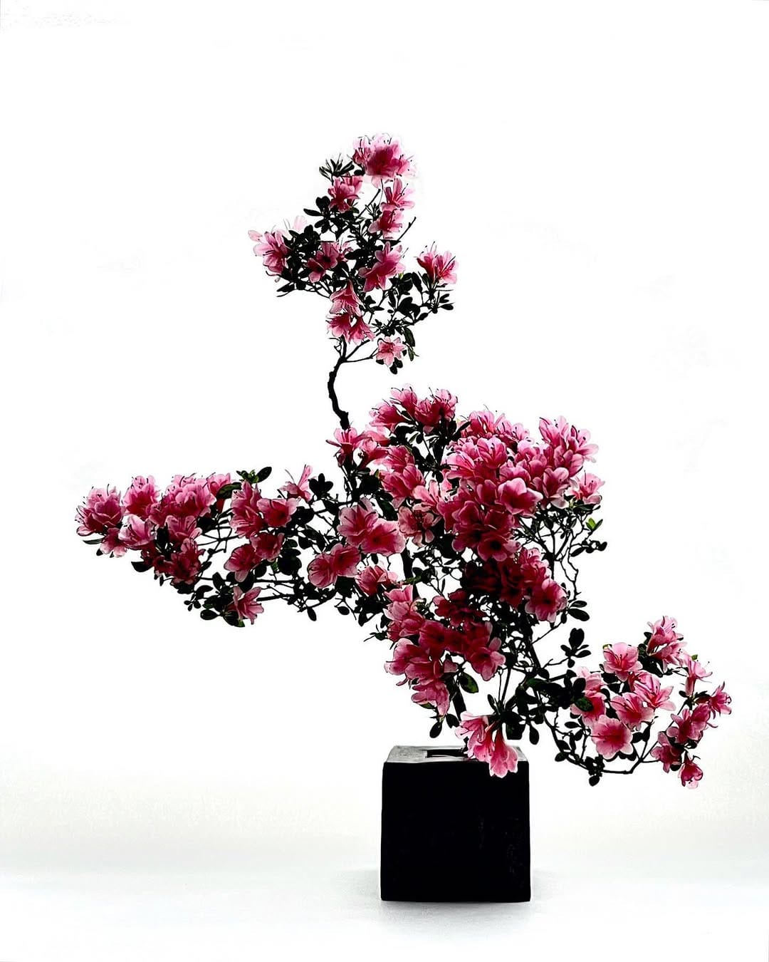 Post 8 by Takayuki Fukazawa on Instagram (image)