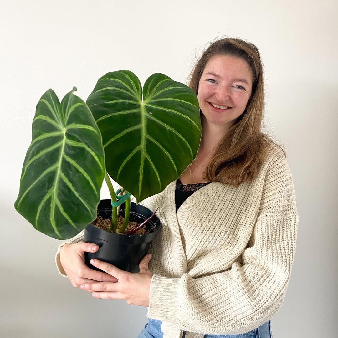 Post 10 by Mascha🌱 Plant mom on Instagram (image)