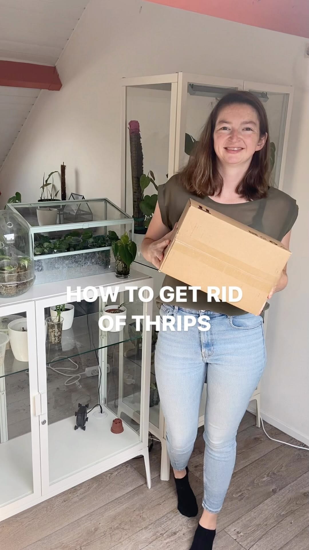 Post 7 by Mascha🌱 Plant mom on Instagram (video)