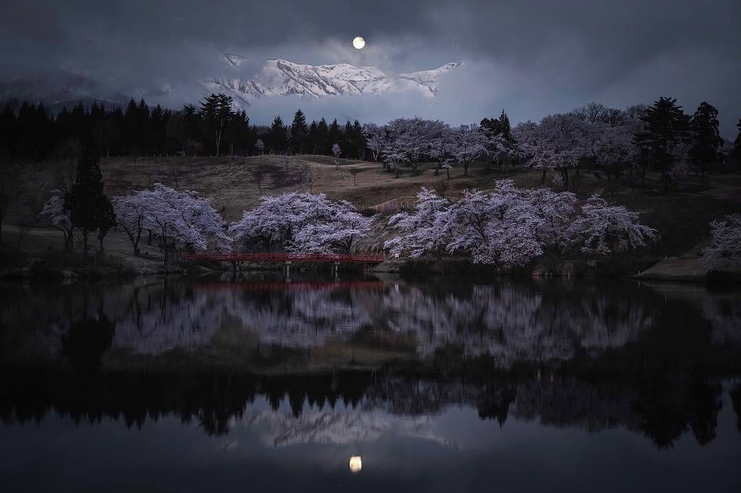 Post 9 by 石田  卓士｜Takashi Ishida on Instagram (image)