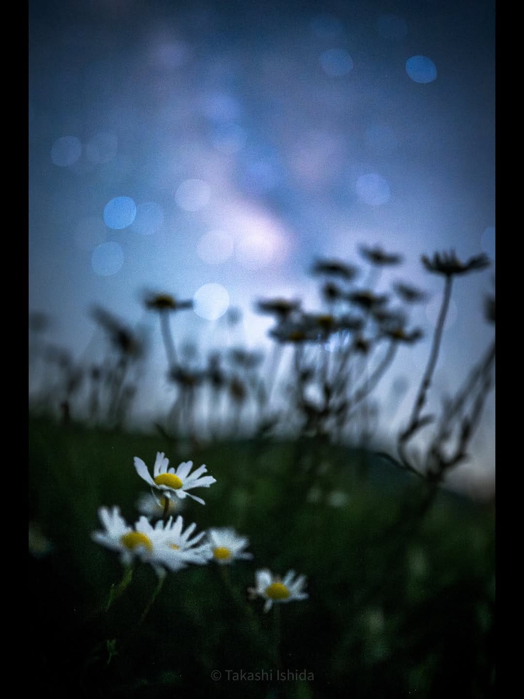 Post 6 by 石田  卓士｜Takashi Ishida on Instagram (carousel)
