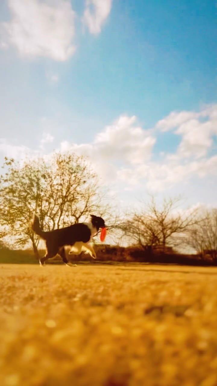 Post 2 by 濱本 太郎 on Instagram (video)