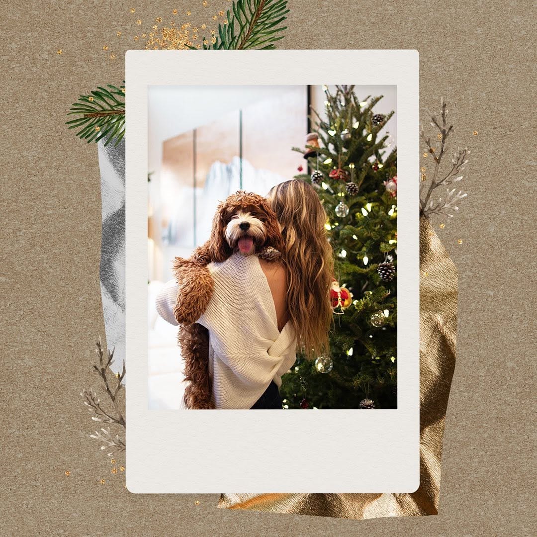 Post 5 by StoryTop Templates for insta on Instagram (image)