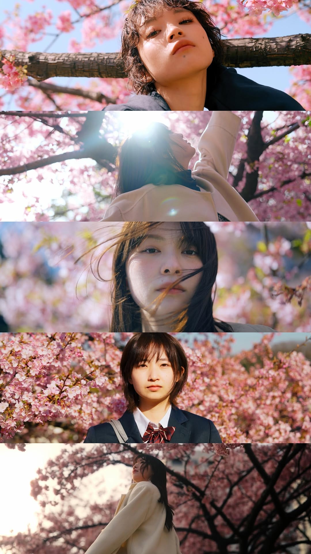 Post 4 by 𝗥𝗬𝗢 𝗦𝗛𝗜𝗥𝗔𝗜  |  30秒の𝗖𝗶𝗻𝗲𝗺𝗮𝘁𝗶𝗰 𝗣𝗼𝗿𝘁𝗿𝗮𝗶𝘁 on Instagram (video)
