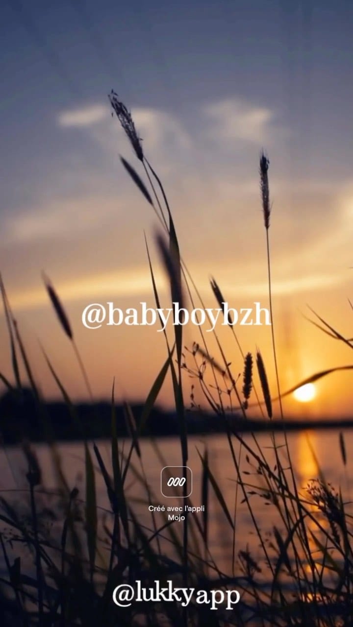 Post 7 by @lukkyapp on Instagram (video)