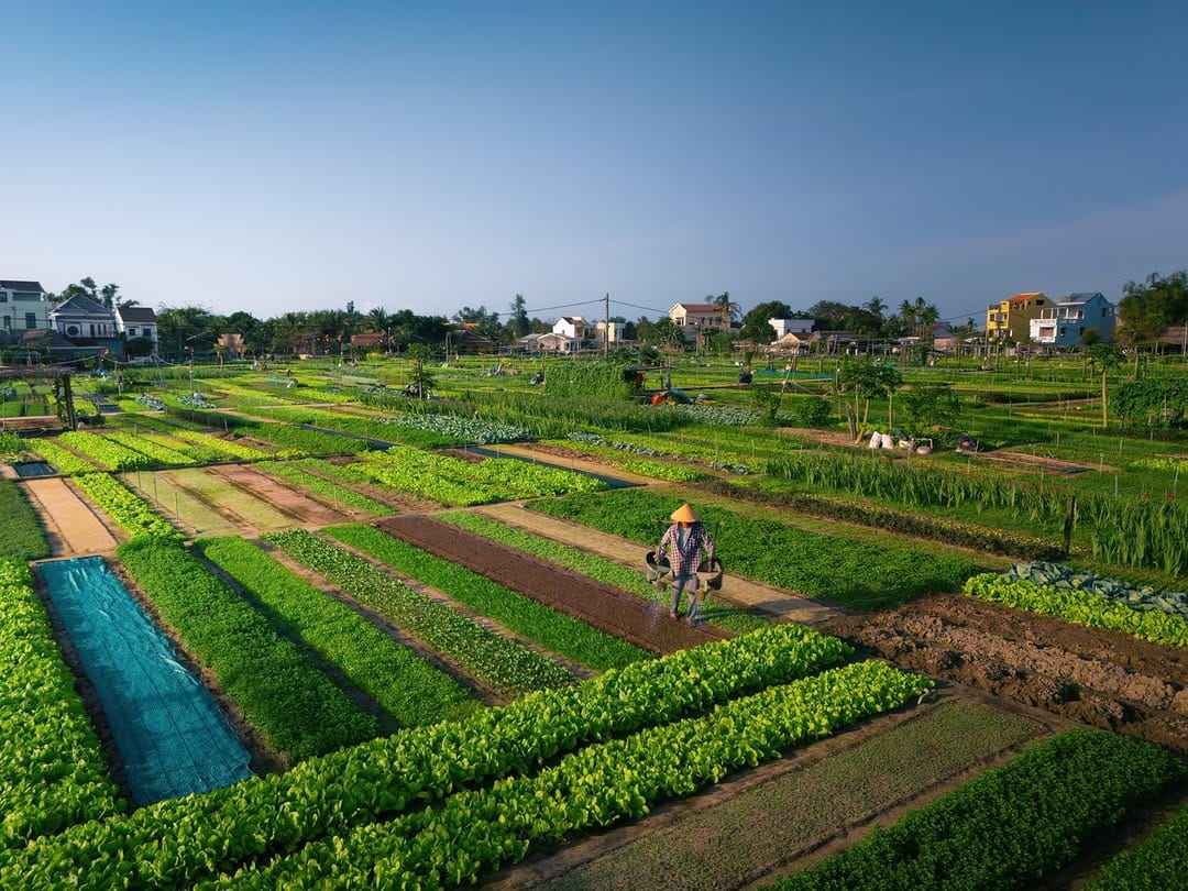 Post 1 by Cyril Mouty | Eco-travel & Sustainable brands Photographer on Instagram (carousel)