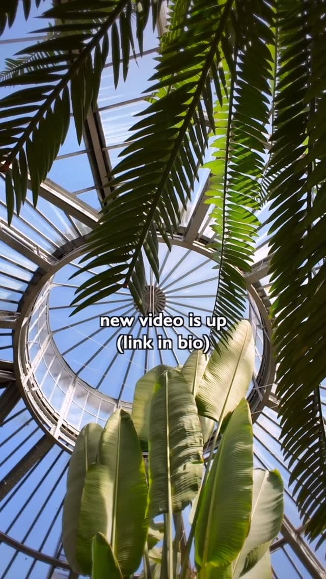 Post 3 by Ali Lickel on Instagram (video)