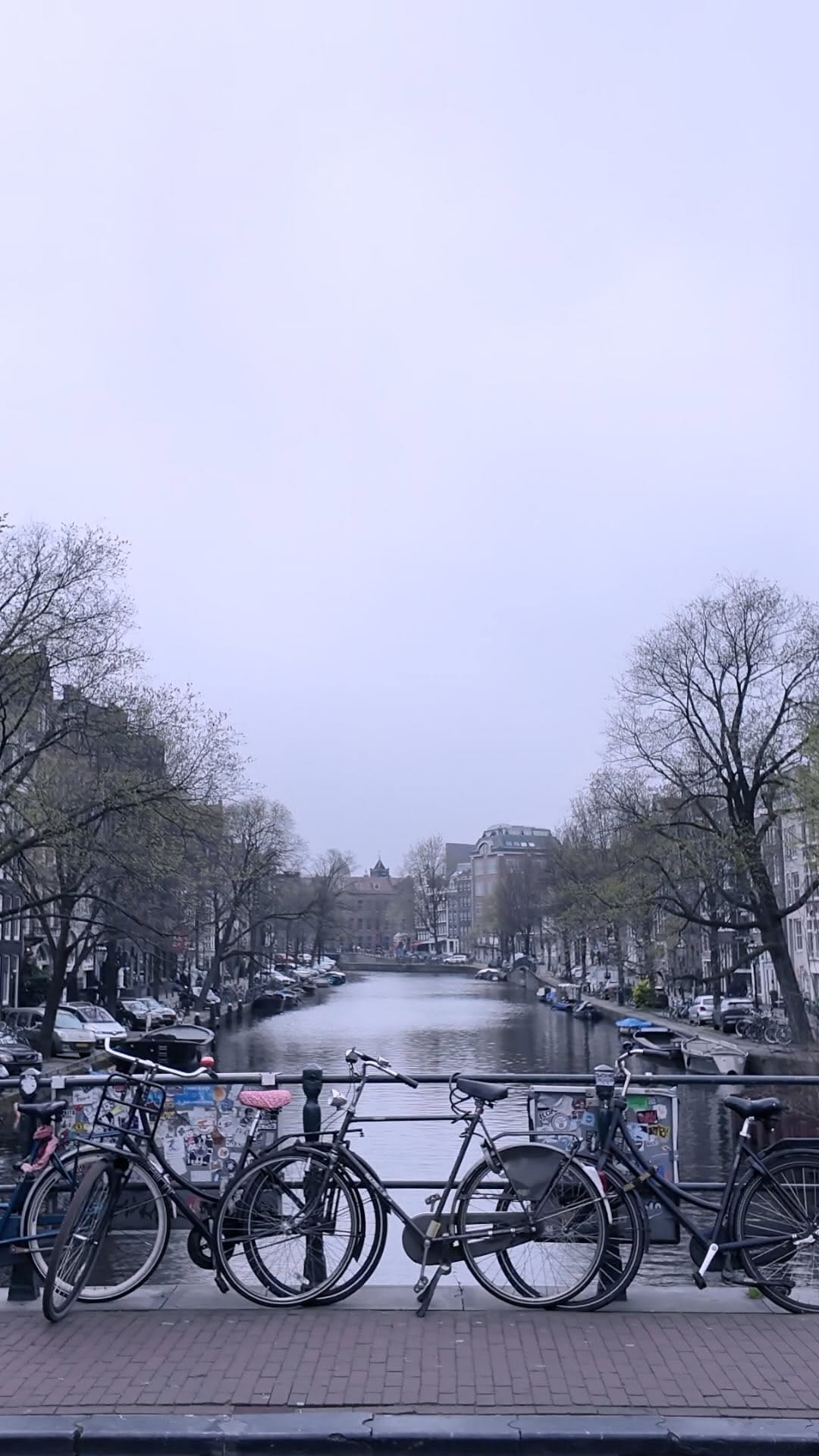 Post 10 by Ali Lickel on Instagram (video)