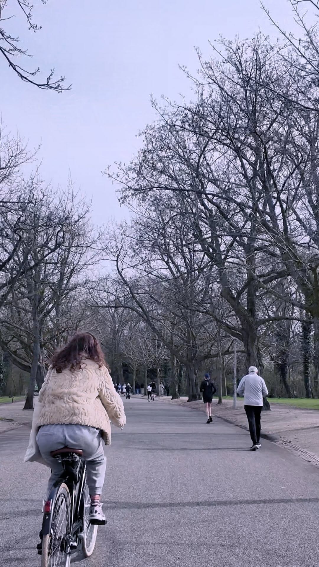 Post 8 by Ali Lickel on Instagram (video)