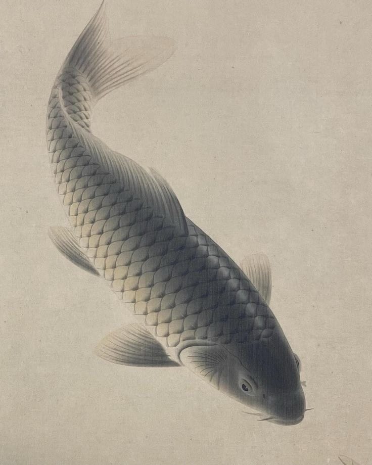 Post 5 by Arihara Yasushi on Instagram (image)