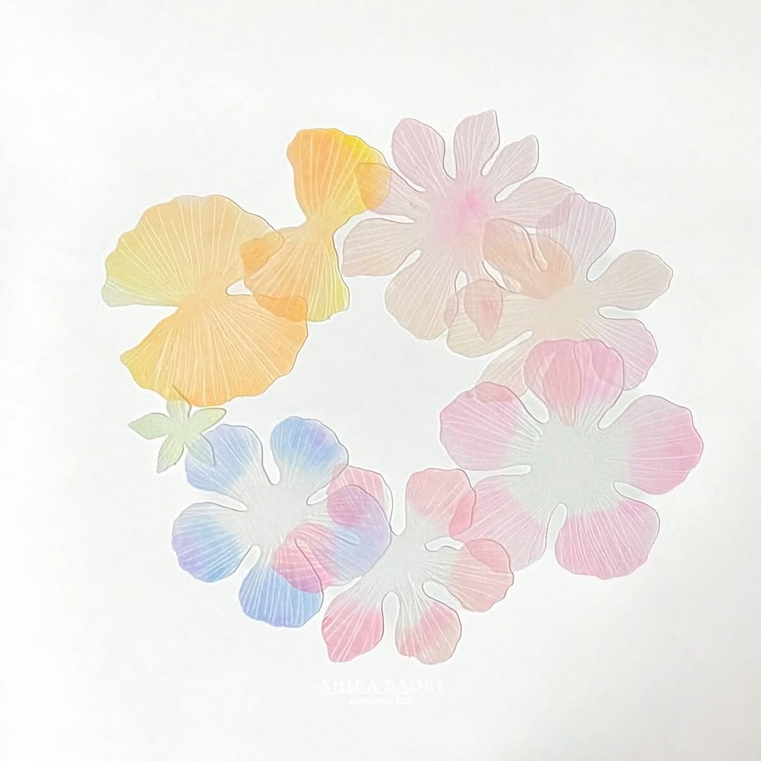 Post 2 by しばさおり-jasmine mascot on Instagram (carousel)
