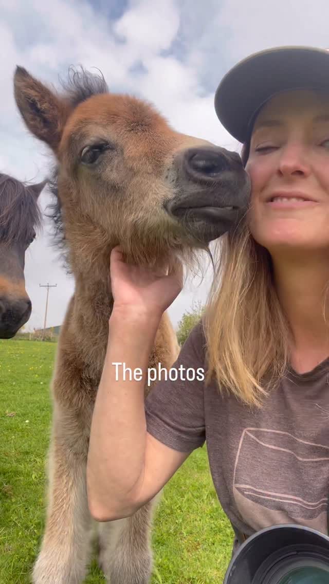 Post 8 by Sigrid Zimaro on Instagram (video)