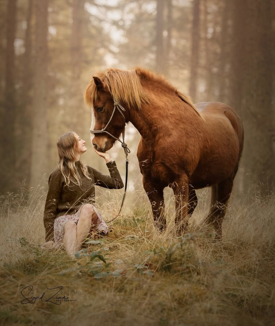 Post 10 by Sigrid Zimaro on Instagram (image)