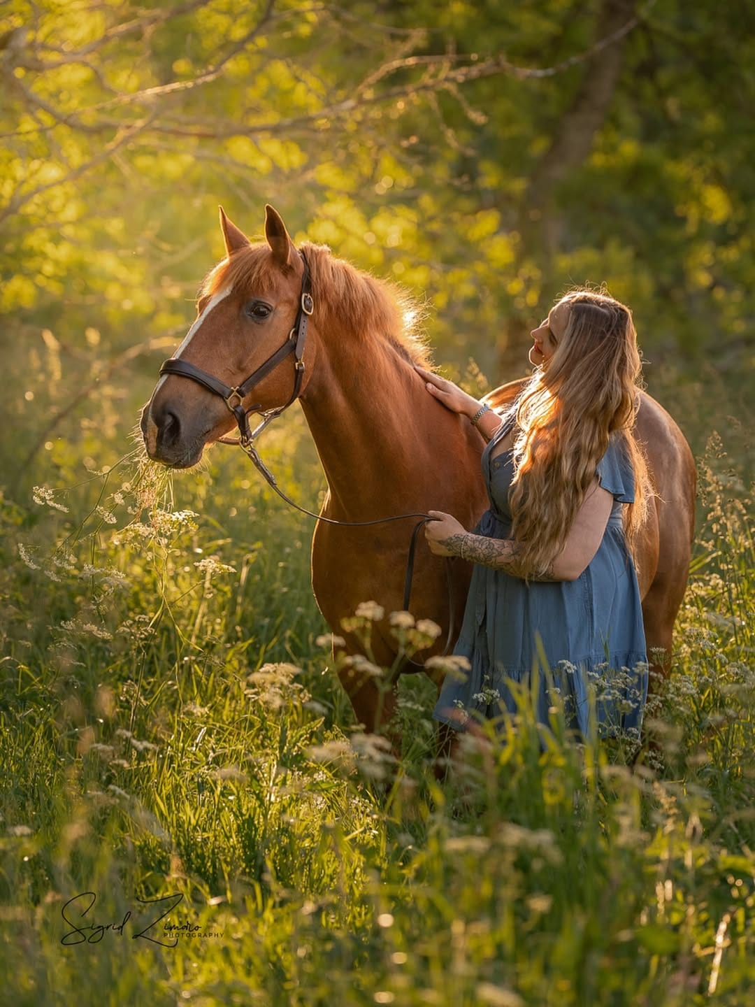 Post 2 by Sigrid Zimaro on Instagram (image)