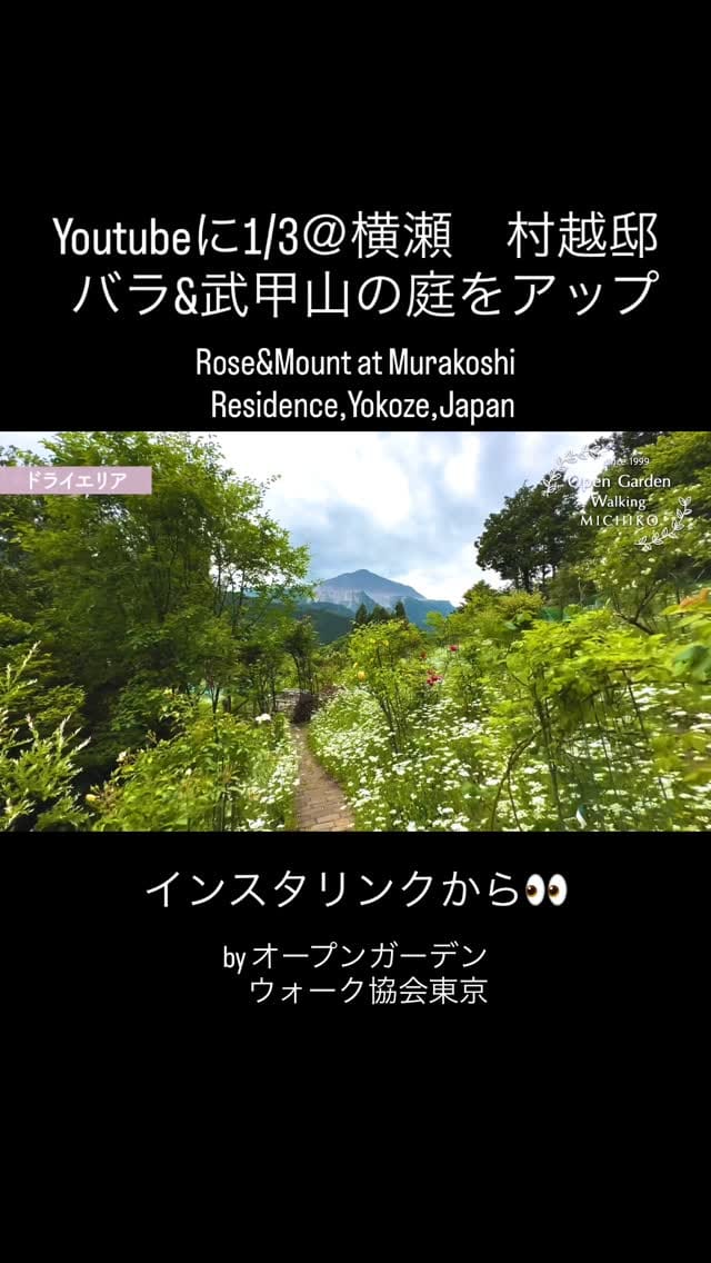 Post 9 by Michiko Moriyama on Instagram (video)
