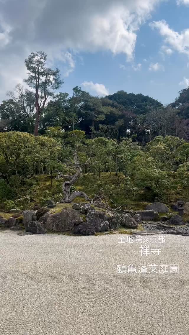 Post 4 by Michiko Moriyama on Instagram (video)