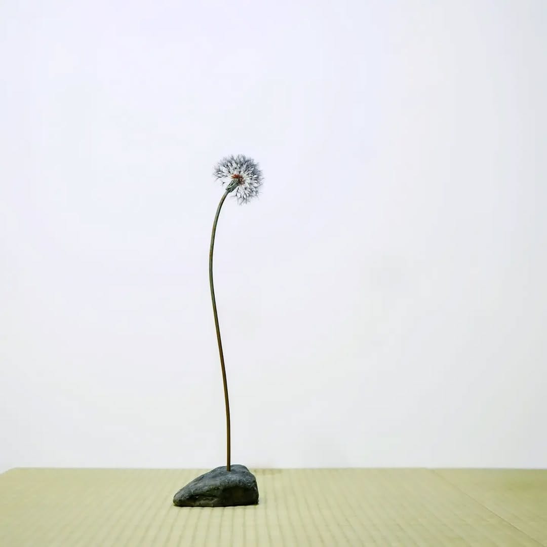Post 2 by Shota Suzuki on Instagram (image)