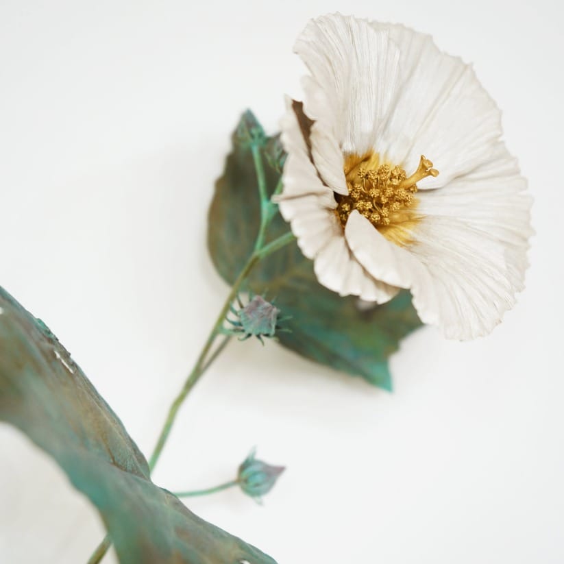 Post 3 by Shota Suzuki on Instagram (image)