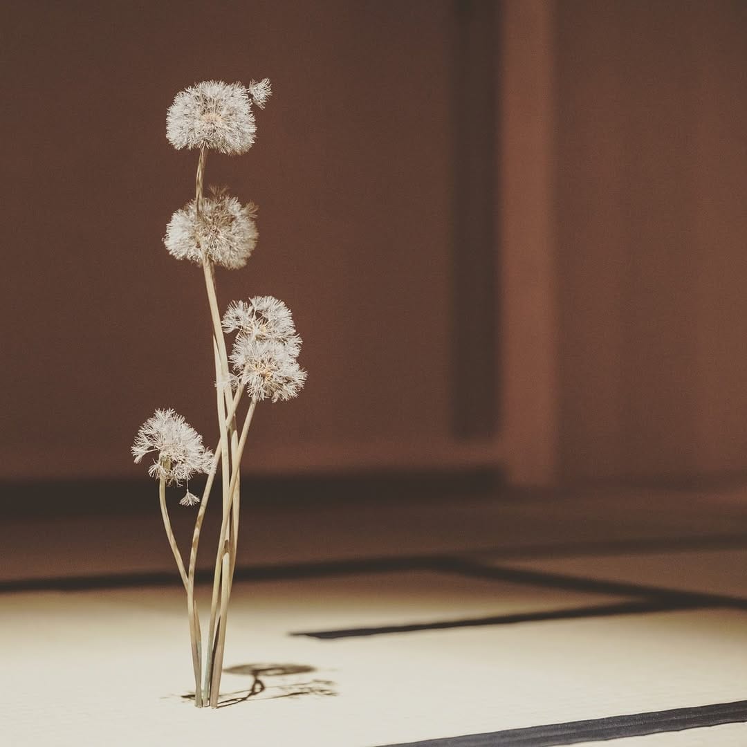 Post 9 by Shota Suzuki on Instagram (carousel)