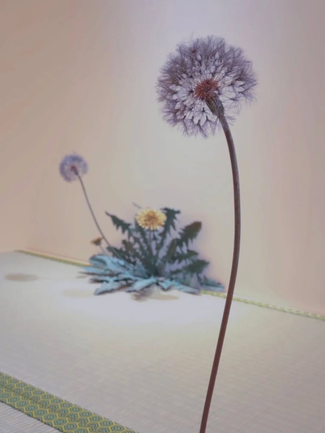 Post 4 by Shota Suzuki on Instagram (image)