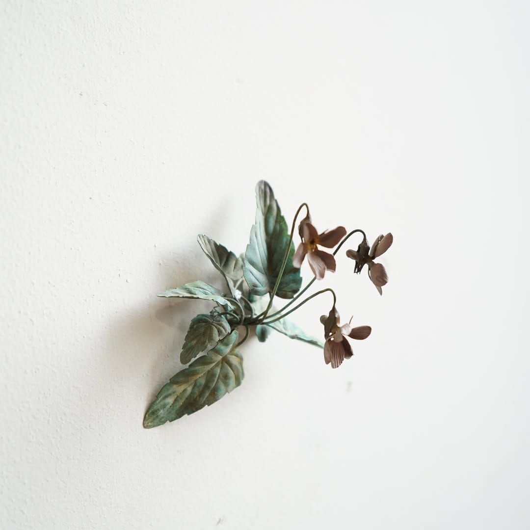 Post 6 by Shota Suzuki on Instagram (image)