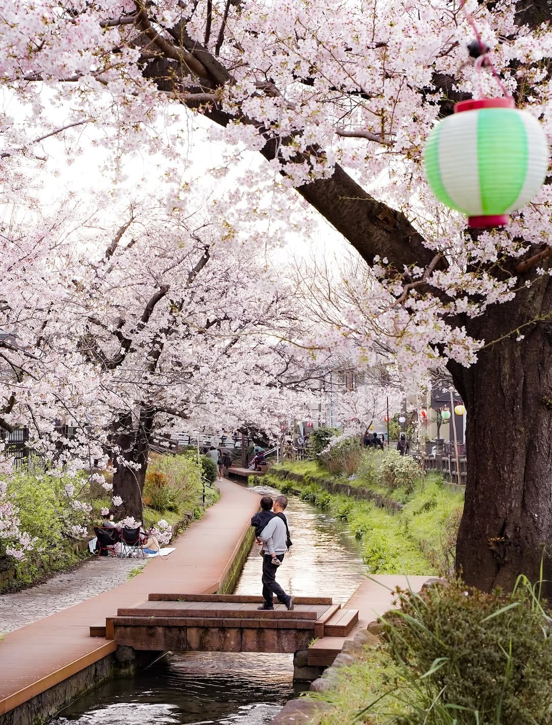 Post 6 by Caro カロ | Japan through my eyes 🗻 on Instagram (carousel)