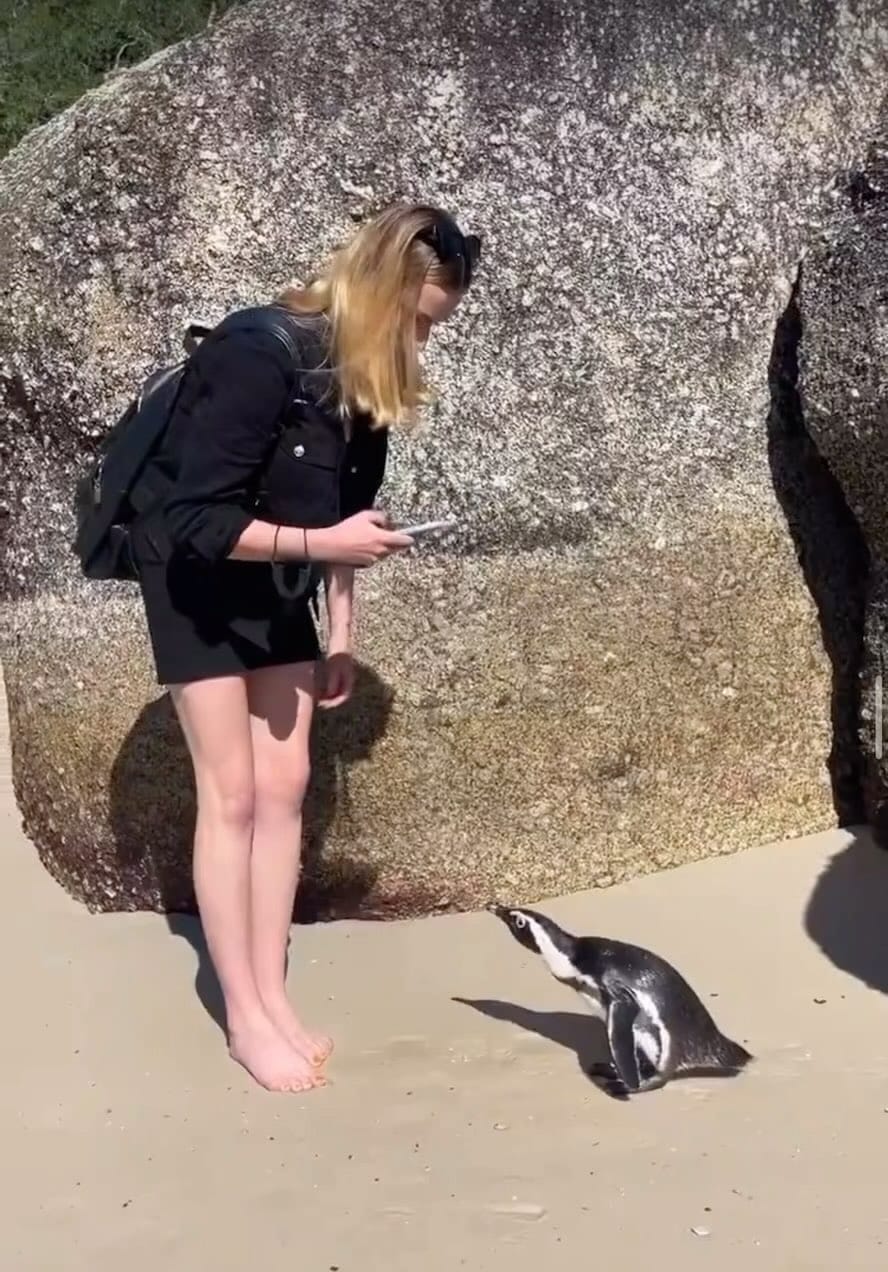 Post 8 by Maggie💞 on Instagram (video)