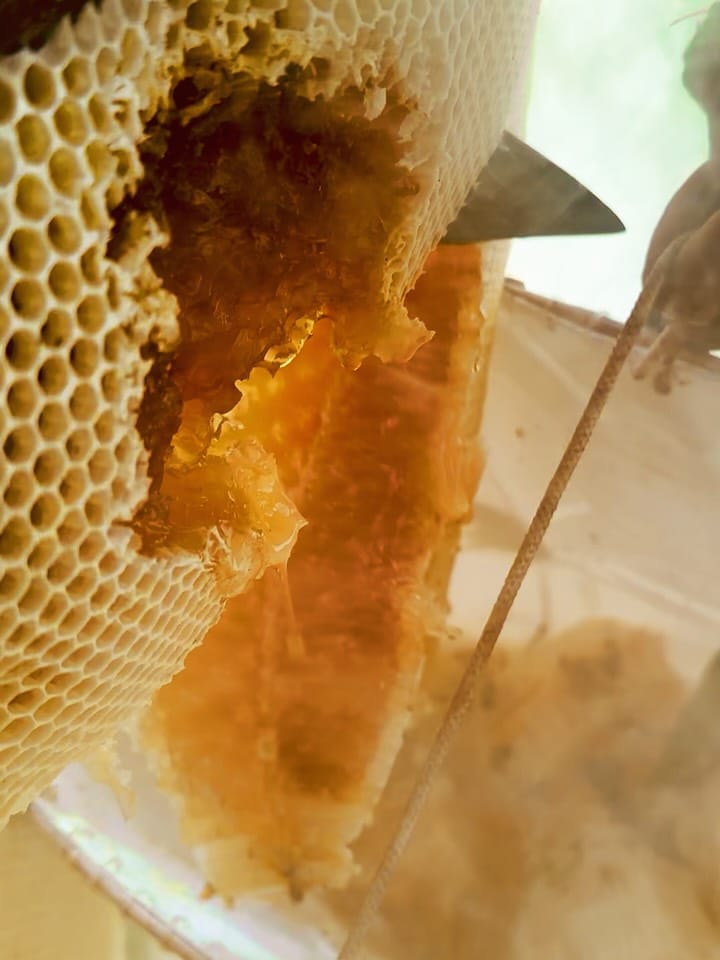 Post 2 by 緒方 陽一 on Instagram (carousel)
