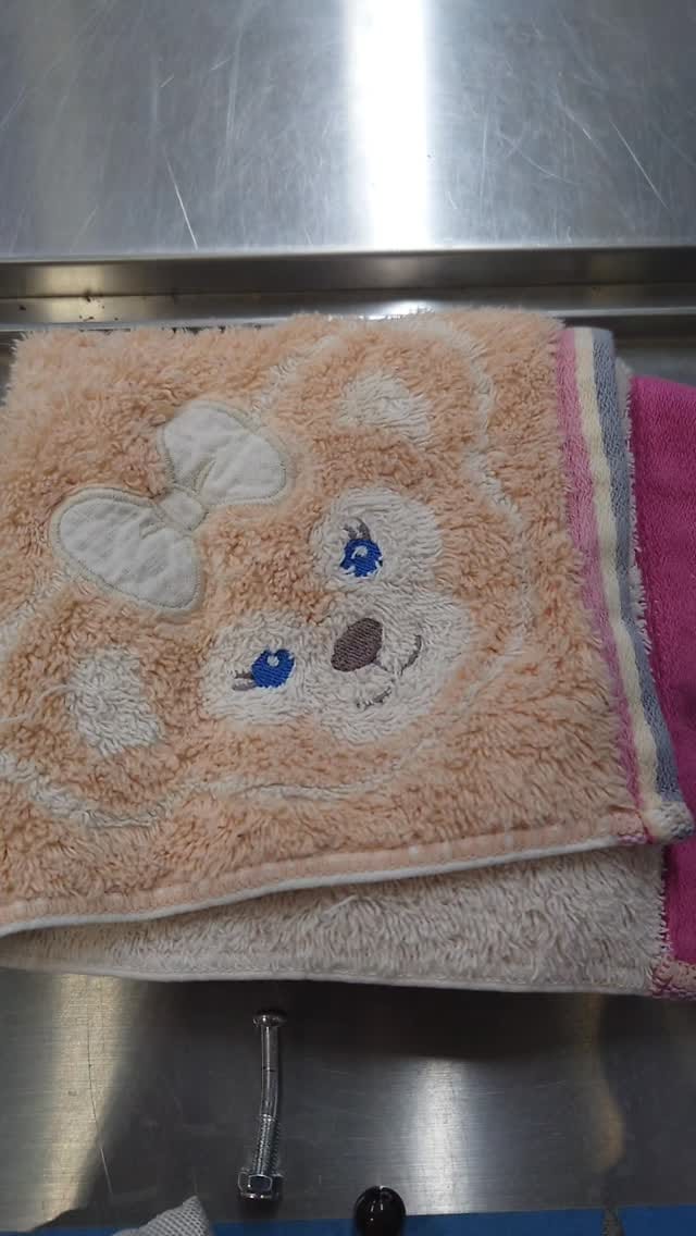 Post 9 by 【公式】にいがた犬の陣✕猫の陣 on Instagram (video)