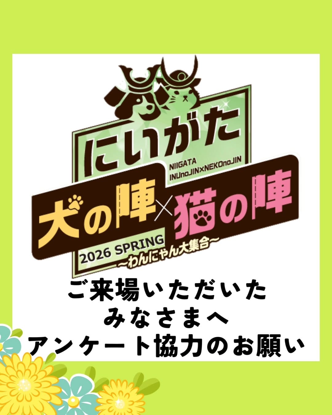 Post 8 by 【公式】にいがた犬の陣✕猫の陣 on Instagram (image)