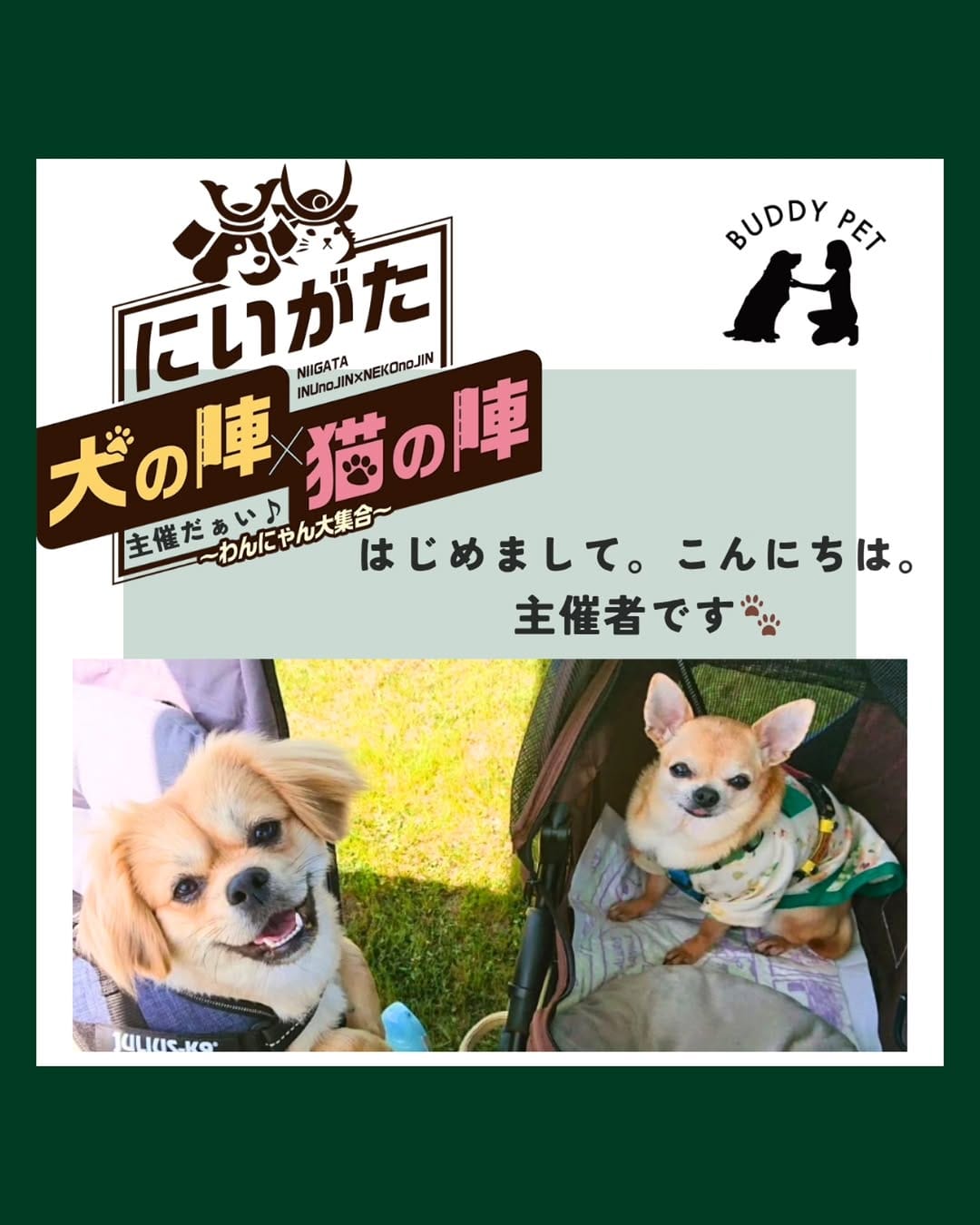 Post 10 by 【公式】にいがた犬の陣✕猫の陣 on Instagram (carousel)