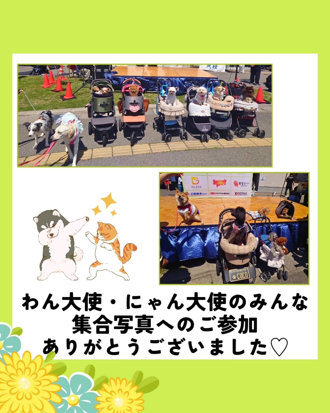 Post 6 by 【公式】にいがた犬の陣✕猫の陣 on Instagram (carousel)