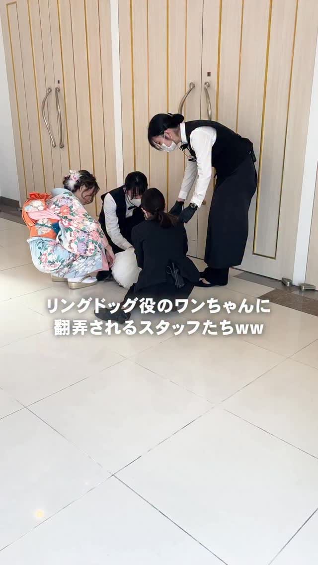 Post 6 by 結婚式場のリアル on Instagram (video)