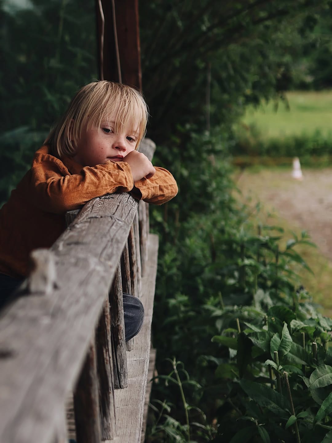 Post 3 by esther meinel - zottl on Instagram (carousel)