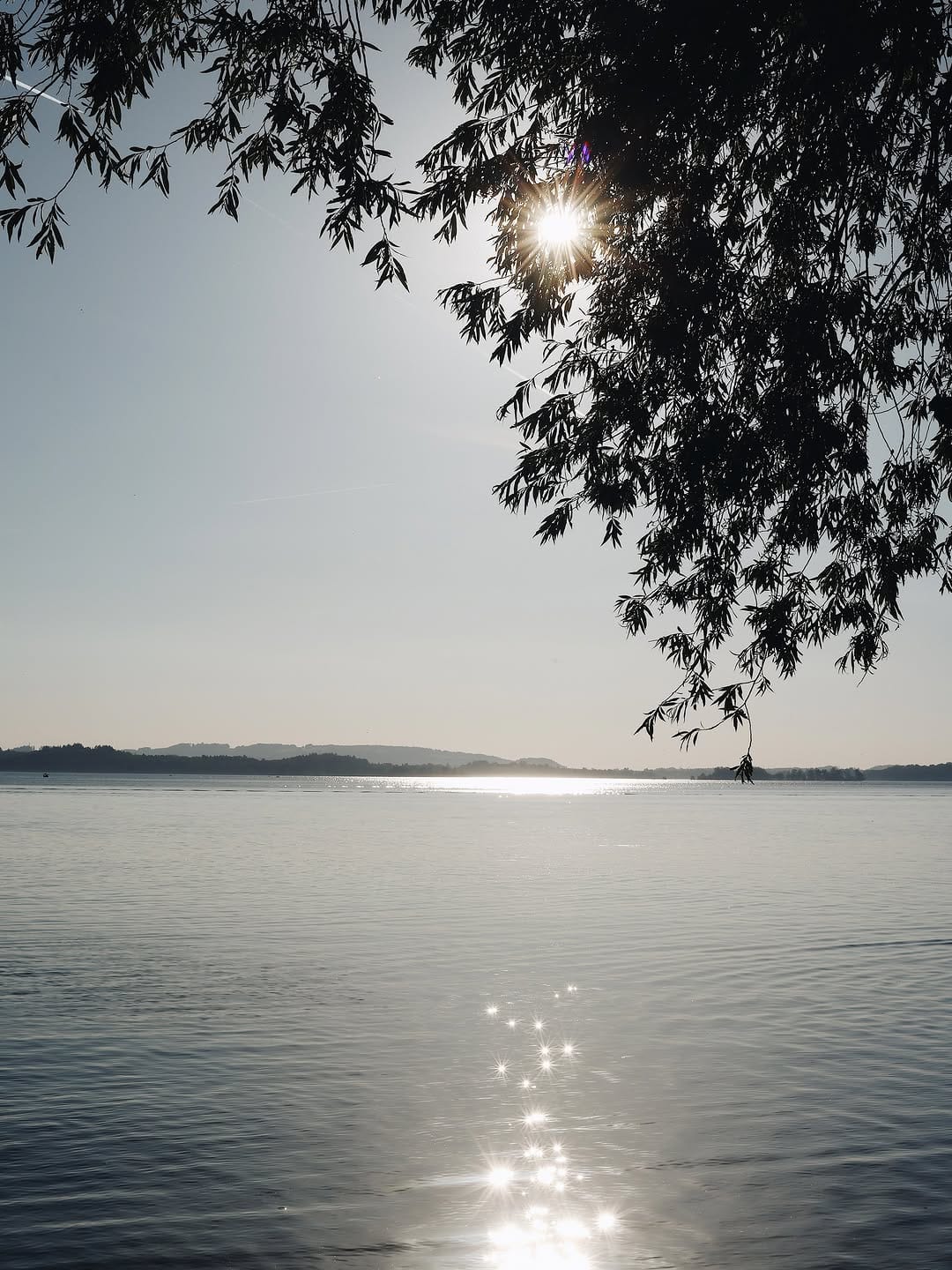 Post 5 by esther meinel - zottl on Instagram (carousel)