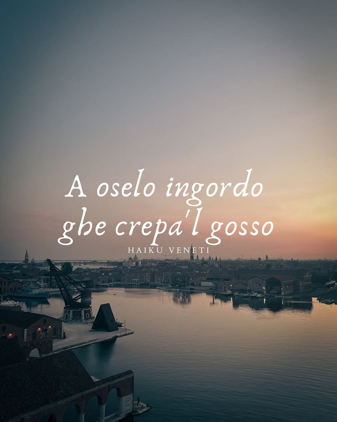 Post 6 by Francesca Paluan on Instagram (image)