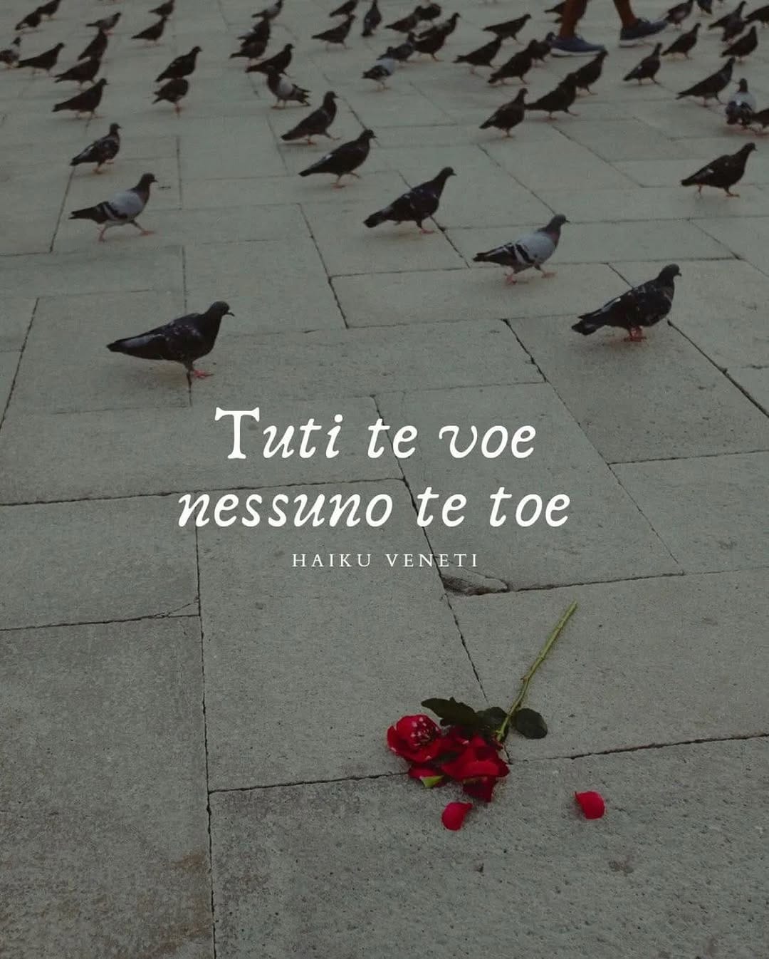 Post 8 by Francesca Paluan on Instagram (image)