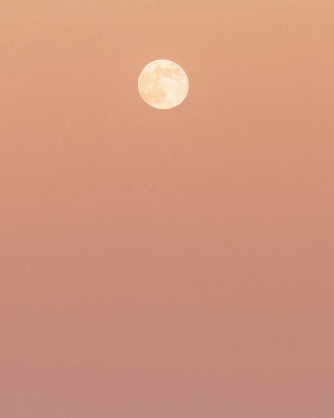 Post 5 by 37 Frames | Tracey Taylor & Dee Green on Instagram (carousel)